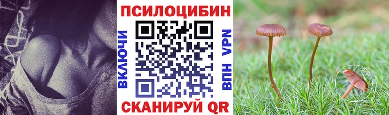 Псилоцибиновые грибы Psilocybine cubensis  mega ТОР  Копейск 